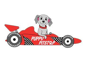 Puppy Pitstop